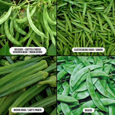 Zero Luxury Seeds Seed(40 g)