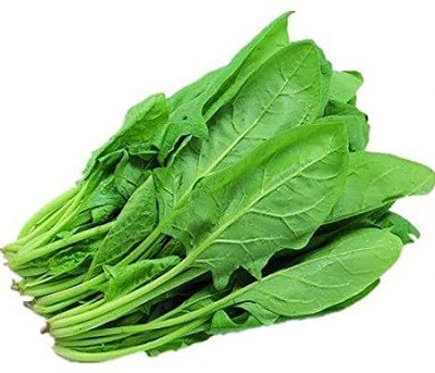 Mohomaya Organic Spanich Seeds Seed (100 per packet) Seed(100 per packet)