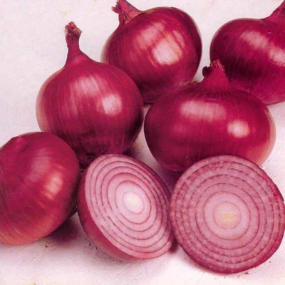 Qualtivate RES-2A Onion Red F1 Hybrid Seeds Seed(500 per packet)