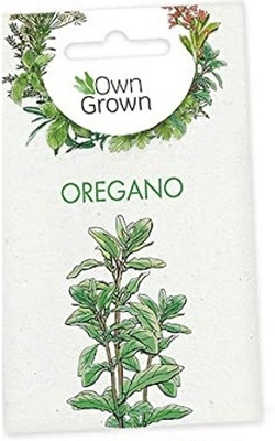 KNESSiN Oregano Seed(1250 per packet)