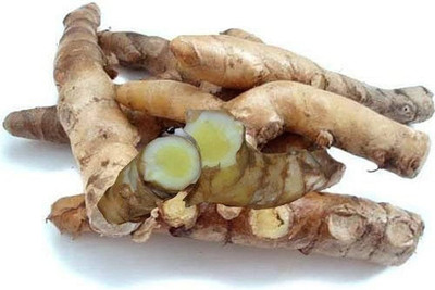 BJUBAS Ginger seeds Pack of 10 Seed(10 per packet)