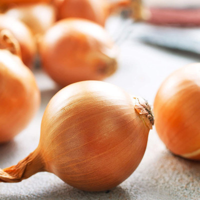 VibeX ® XLR-429 Onion Seeds - Hybrid - Yellow Granex PRR F1 Seed(1000 per packet)