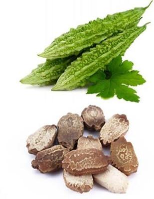 LPR KARELA ,BITTAR GOURD Seed(100 per packet)