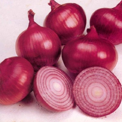 Quentova Nasik Onion-GAV-5O Seed(200 per packet)