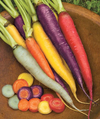 CYBEXIS Kaleidoscope Hybrid Carrot Variety1000 Seeds Seed(1000 per packet)