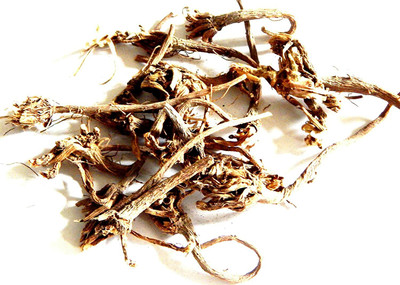 Urancia Akarkara Anacyclus Pyrethrum PELLITORY Dried Root 100Gms From Own Farm Seed(1 per packet)