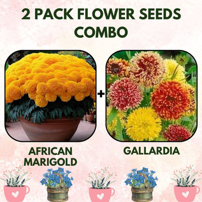 Infiniteseeds 2 Pack Combo of African Marigold and Gallardia Flower Seeds Seed(2 per packet)