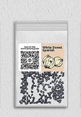 WILLVINE Non-GMO HybridWhite Sweet Spanish Onion-1250 Seeds Seed(1250 per packet)