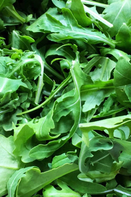 CEZIUS Rocket Arugula/Rucola Herb Plant Seed(100 per packet)
