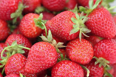 XOLDAA F1 best quality hybrid strawberry Seed(90 per packet)