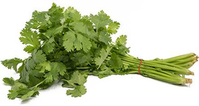 ZIXA Corriander culinary cilantro vegetable Seed(2000 per packet)