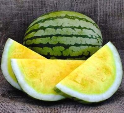 Qualtivate HUA-1A Yellow Watermelon Seeds Seed(100 per packet)