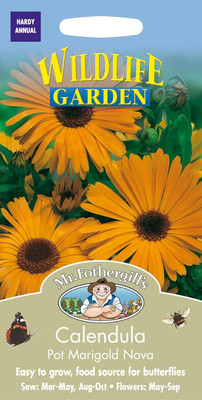 CRGO CALENDULA Seed(100 per packet)