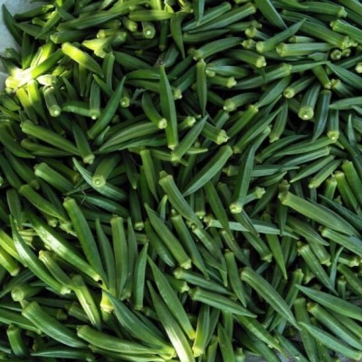 Quentova Okra Lady Finger /Green Okra Seeds-VIC-6K Seed(250 per packet)