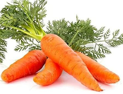 SRKR AGRO Carrot Normal Seeds - Carrot Seeds Good Yield Summer Veg Seeds Home Garden Seed(100 per packet)