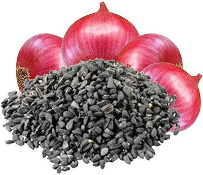 CYBEXIS Desi Nasik Onion Hybrid Seeds1000 Seeds Seed(1000 per packet)