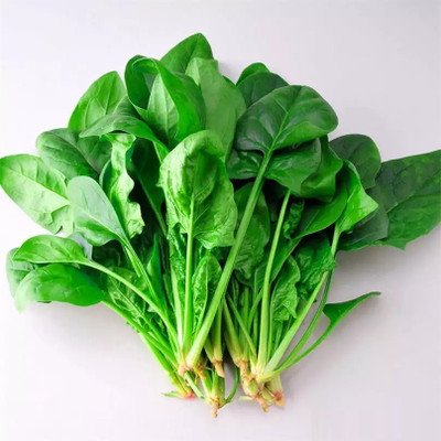 MYLAWN Organic Chinese Green Spinach Seed(100 per packet)