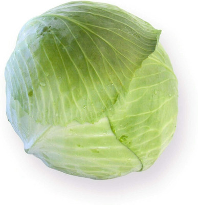 CYBEXIS Seeds of White Cabbage Toughma RZ F12000 Seeds Seed(2000 per packet)