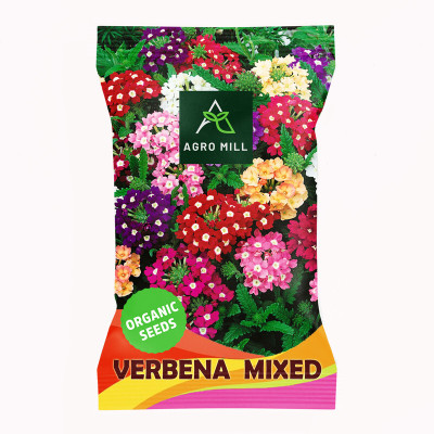 AGRO MILL VERBENA/VERVAIN MULTIFLORA MIXED PREMIUM QUALITY FLOWER Seed(50 per packet)