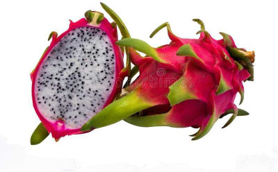 Oliver F1@quality dragon fruit seed Seed(110 per packet)