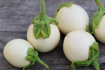 VibeX ® LXI-551 Brinjal Aubergine Round Heirloom Seed(200 per packet)