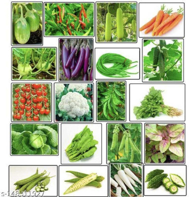 Plantzone all mixed vegetable seeds Seed(500 per packet)