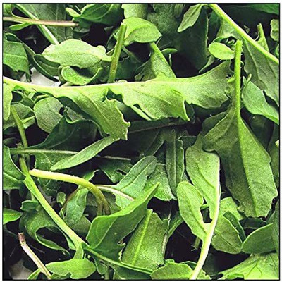 CYBEXIS VVI-4 - Arugula Roquette Rocket - (750 Seeds) Seed(750 per packet)