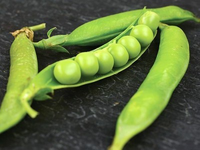 Quentova Super Sweet Peas-RJ-9V Seed(20 per packet)