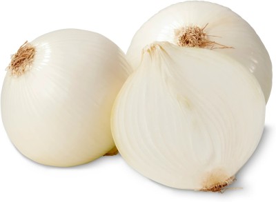 WATIKA White Onion Seed(500 per packet)