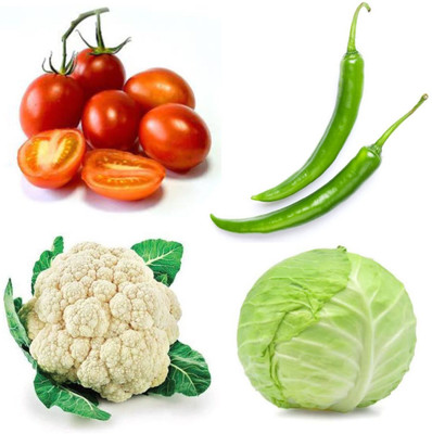 PSAgroinput Tomato-Chili-Pattagobhi-Phool Gobhee Pack of 4 Seed(100 g)