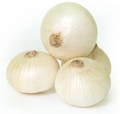 Qualtivate ICRA6-A WHITE Onion Hybrid Seeds Seed(500 per packet)
