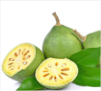 Aywal Bel Seed(11 per packet)