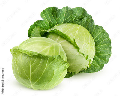 Arshiayat Cabbage Seed, Patta Gobhi-Bandha Kobi-Brassica oleracea-Band Gobhi Vegetable Seed(60 per packet)