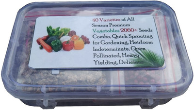 CYBEXIS 40 Varieties Vegetables 2060+ Seeds Combo Seed(10 g)
