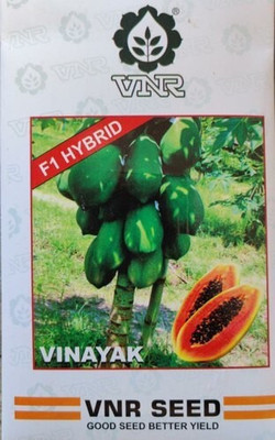 Farmers Choice VNR VINAYAKA PAPAYA HYBRID Seed(1 g)