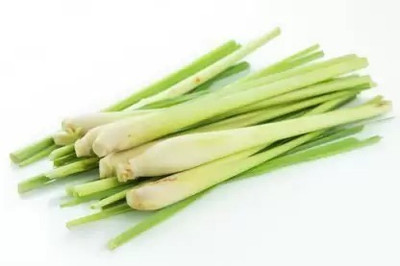 MAA Lemon Grass Seed(100 per packet)