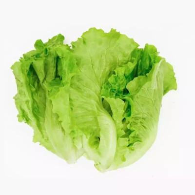Quentova High quality organic green lettuce-RAJ-11W Seed(250 per packet)