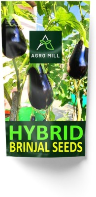 AGRO MILL HYBRID F1 PREMIUM QUALITY BRINJAL/EGGPPLANT/BAINGAN FOR HOME KITCHEN GARDEN Seed(30 per packet)