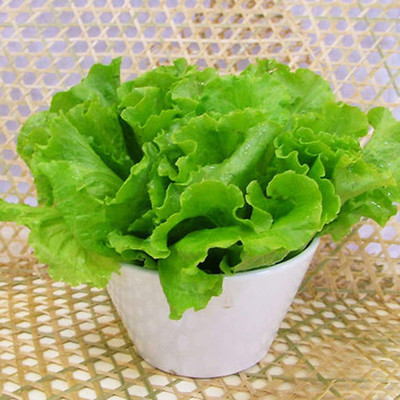 CYBEXIS Green Lettuce Seeds1000 Seeds Seed(1000 per packet)