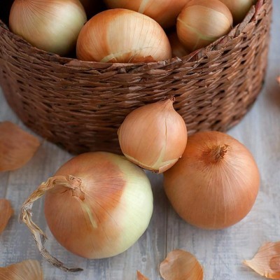 Quentova Yellow Onion Pyaaz-DLX-4L Seed(300 per packet)