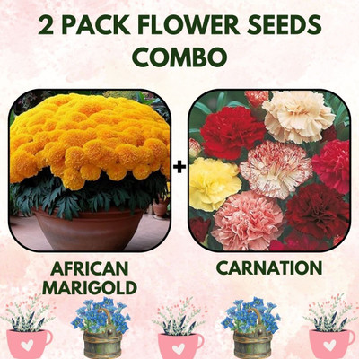 Infiniteseeds 2 Pack Combo of African Marigold and Carnation Flower Seeds Seed(2 per packet)