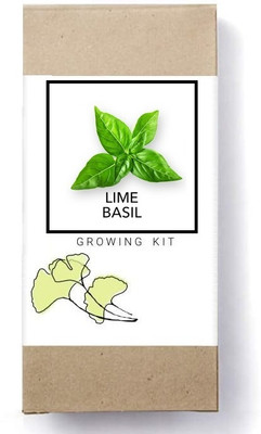 Biosnyg Lemon Basil Seed(500 per packet)