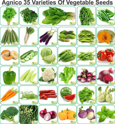 Agnico Agnico 35 Varieties of Vegetable Seeds 2100+ Germination Seeds For Your Garden With Instruction Manual Seed(2100 per packet)