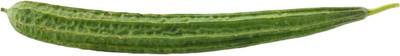 XOLDAA FI QUALITY RIDGE GOURD Seed(10 per packet)