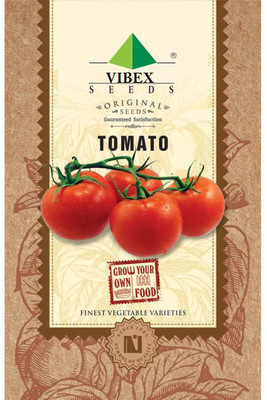 WILLVINE Tomato Seeds Seed(3000 per packet)