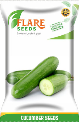 FLARE SEEDS CUCUMBER Seed(100 per packet)