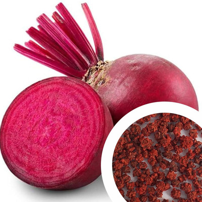 LPR CHUKANDAR,,BEETROOT Seed(20 per packet)