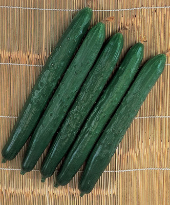 VibeX ® XLR-23 Suyo Long Cucumber Seeds Seed(200 per packet)