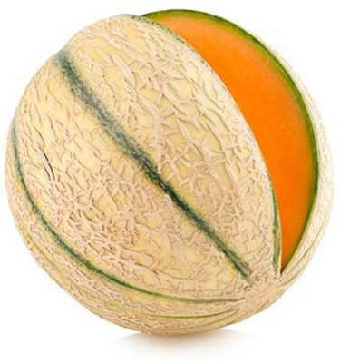 Cloud Farm Charentais Melon/Musk Melon Seed(50 per packet)