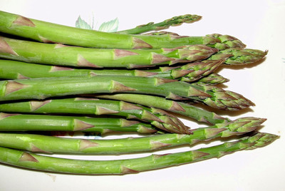 KNESSiN Herb Seed(100 per packet)